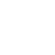 An image of an individual holding a virtual coaching session over their desktop.
